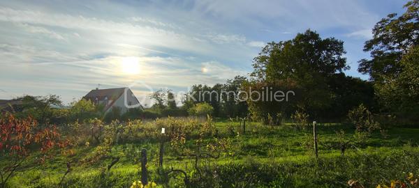 Terrain à Bâtir à Parigny-les-Vaux – 3149 m²

	• Superficie : 3149 m², composé de deux parcelles :
		○ Une parcelle constructible d'environ 1515 m²
		○ Un verger de 1634 m², arborée avec des arbres fruitiers ( Pommier, Poirier, Figuier, Cerisier, Noyer….)

	• Localisation :
Parigny-les-Vaux fait partie de la communauté de communes Nevers-Agglomération depuis le 1er janvier 2017.

	• Commodités locales :
La commune propose des commerces de proximité et des artisans, tels que :
		○ Bar-tabac
		○ Brasserie-distillerie
		○ Cave à vin
		○ Ongleries

	• Éducation et services :
		○ L'école primaire possède le label éco-école depuis 2018.
		○ La commune dispose de services de cantine, de garderie et de transport scolaire.
		○ Bus scolaire à seulement 50 m du terrain, desservant l'école primaire, le collège et le lycée.

	• Accessibilité :
		○ Pougues-les-Eaux à 7 minutes (4 km)
		○ Guérigny à 9 minutes (7 km)
		○ Nevers à 20 minutes (14 km)
		○ Autoroute à 5 minutes

	• Réseaux disponibles :
L'eau et l'électricité sont disponibles sur la rue devant le terrain, ce qui facilite le raccordement pour tout projet de construction.
Le terrain a fait l’objet d’une étude de sol G1 réalisée conformément à la réglementation.

Atouts du terrain :
	• Parcelle constructible : Idéale pour un projet immobilier résidentiel, sans vis-à-vis direct.
	• Parcelle "verger" : Un terrain arboré, parfait pour la création d'un jardin, d'un espace vert, ou pour d'autres activités extérieures. La présence d'arbres fruitiers ajoute de la valeur au terrain, créant un espace agréable et productif.

Ce terrain bénéficie donc de nombreux avantages : un emplacement stratégique, des commodités de proximité, un cadre de vie agréable et des infrastructures adaptées à une vie de famille. Si vous avez des questions spécifiques sur ce terrain ou si vous avez un projet particulier en tête, je serais heureux de vous aider davantage !

Photos supplémentaires disponibles sur BSK IMMOBILIER > Nos conseillers > Julien LELONG.
Pour tout renseignement complémentaire ou pour une visite, contactez moi au 06.61.74.25.29.

Informations annonce: