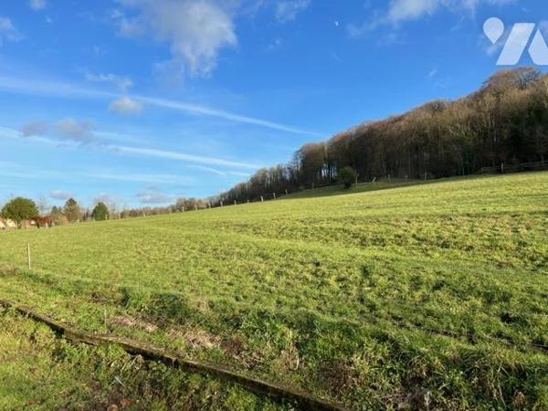 MONTREUIL, Fermette rénovée - Idéalement située, venez découvrir cette magnifique longère bâtie...