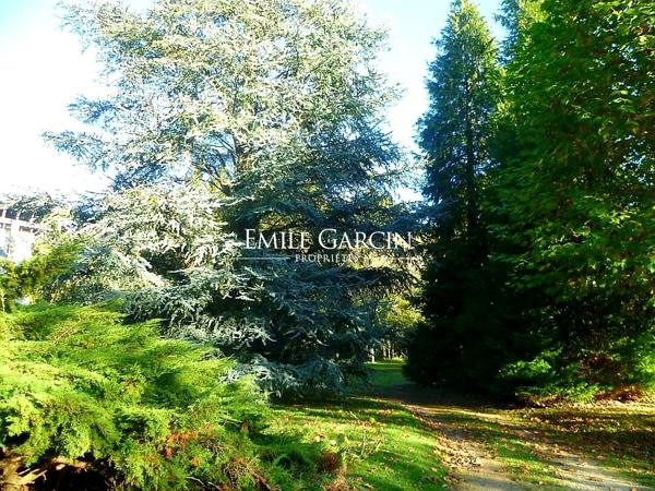 A VENDRE - Saint Sauveur En Puisaye - Bourgogne-  Maison de Maître avec dépendance sur un parc arboré de 2ha