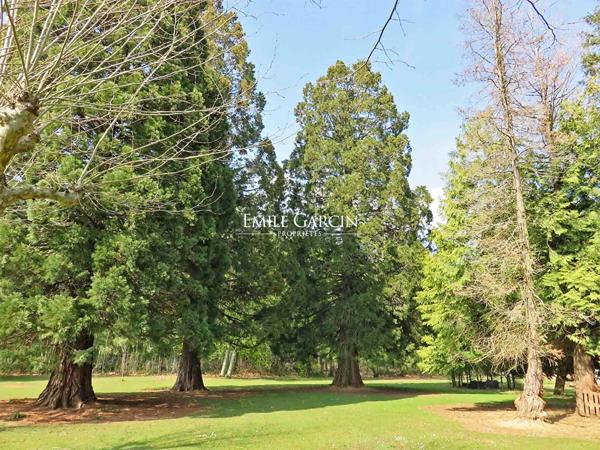 A VENDRE - Saint Sauveur En Puisaye - Bourgogne-  Maison de Maître avec dépendance sur un parc arboré de 2ha