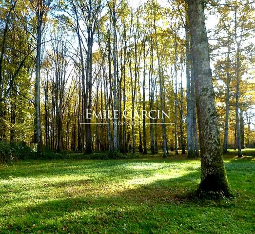 A VENDRE - Saint Sauveur En Puisaye - Bourgogne-  Maison de Maître avec dépendance sur un parc arboré de 2ha