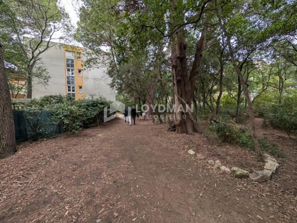 Montpellier (34000) Appartement T3 de 75 m² aux Beaux-arts – Jardin de 120 m² – Terrasse de 40 m² - Garage Fermé