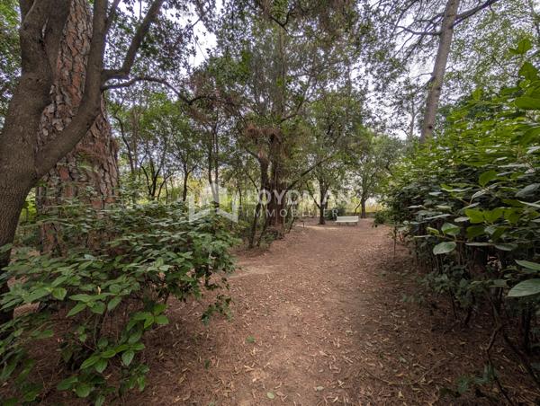 Montpellier (34000) Appartement T3 de 75 m² aux Beaux-arts – Jardin de 120 m² – Terrasse de 40 m² - Garage Fermé