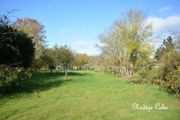 Terrain paysager - Magny Les Hameaux