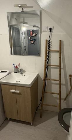 Pontcarré (77135) Studio 24 m² idéalement situé à Pontcarré.