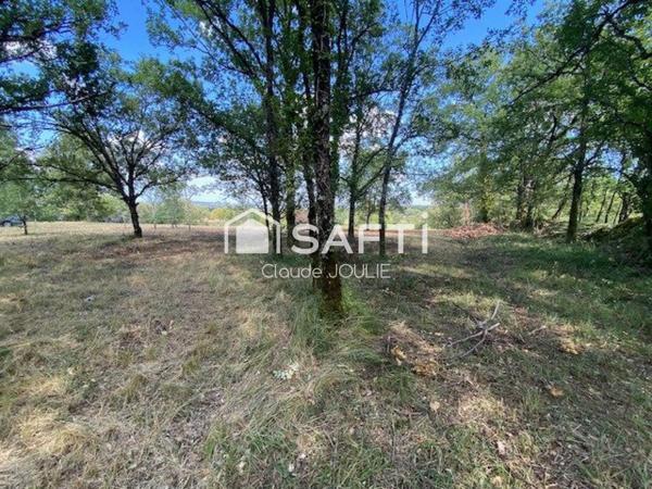 Terrain de 6 547 m² avec permis de construire