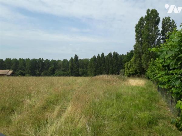 MARIGNE LAILLE, terrain constructible non viabilisé de 566 m².