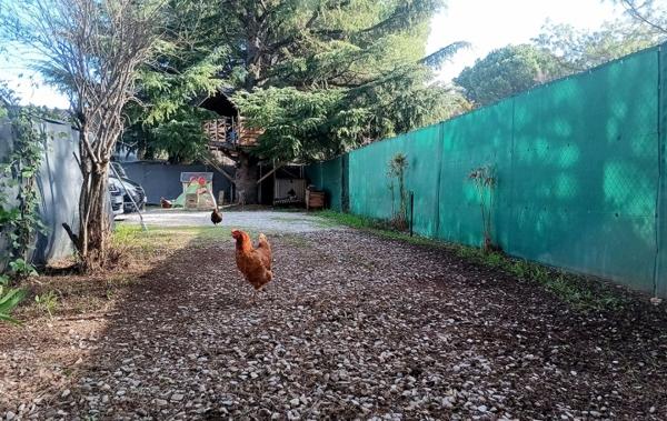 Vente Maison rénové(e) Saint-andre-de-sangonis   