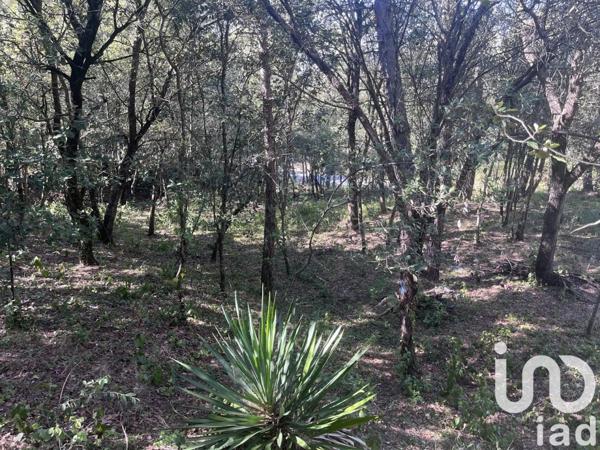 Terrain à vendre 2 103 m² Palaja