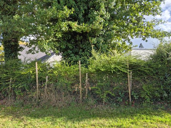 RARE - A vendre terrain constructible de 360 m2, plat, à 400 m du centre de Cléguer (56), 15 min de Lorient, 22 min de la mer (Larmor Plage)