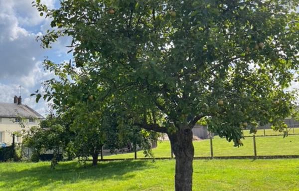 MAISON 3 PIECES NASSANDRES  27550