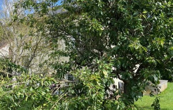 MAISON 3 PIECES NASSANDRES  27550