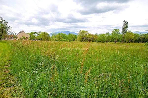 Vente Terrain 927 m2 à Injoux-Génissiat
