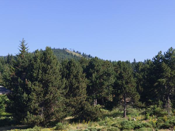 Bolquère (66210) F2 + GRENIER