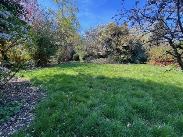 TERRAIN WILLEMS 823M²