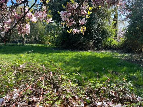 TERRAIN WILLEMS 823M²