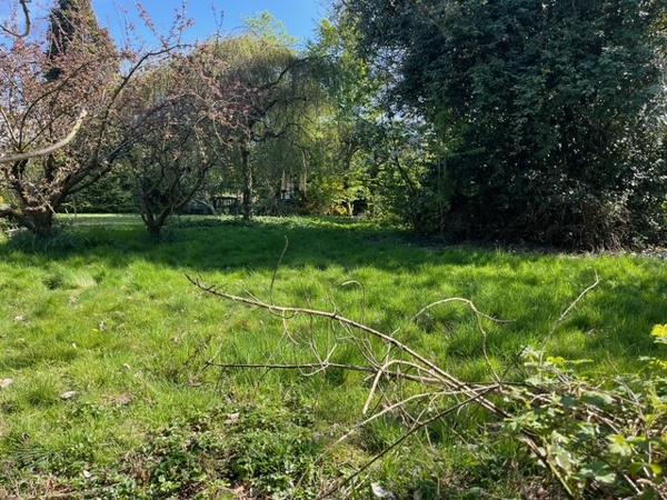 TERRAIN WILLEMS 823M²