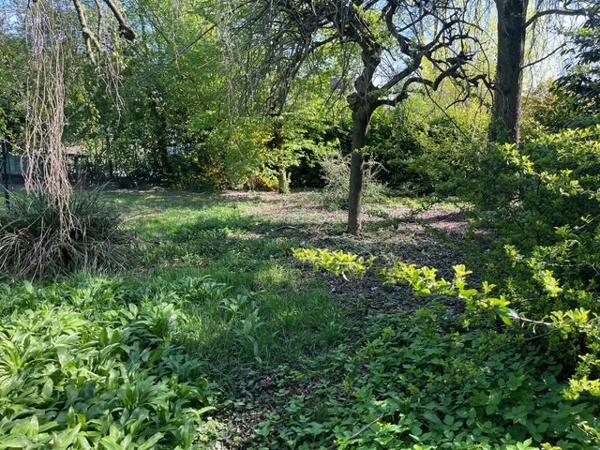TERRAIN WILLEMS 823M²