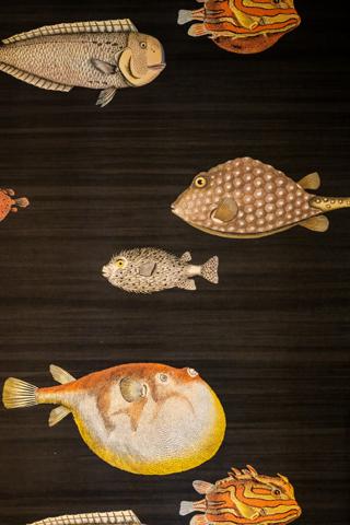 Bidart (64210) La MAITASUNA