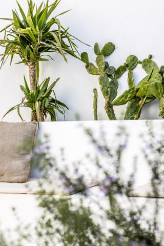 Bidart (64210) La MAITASUNA