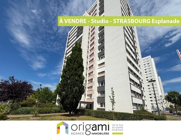 Appartement Strasbourg 1 pièce - ESPLANADE Strasbourg Appartement Strasbourg 1 pièce - ESPLANADE Strasbourg