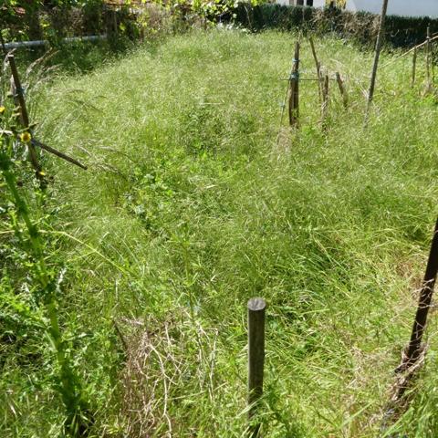 Maison à rénover avec grange et jardin attenant.