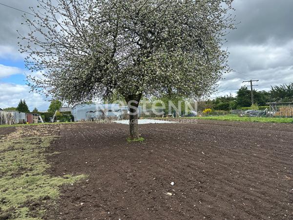 Terrain Questembert, commerces et écoles à pied, 1100 m²