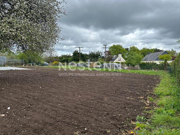 Terrain Questembert, commerces et écoles à pied, 1100 m²