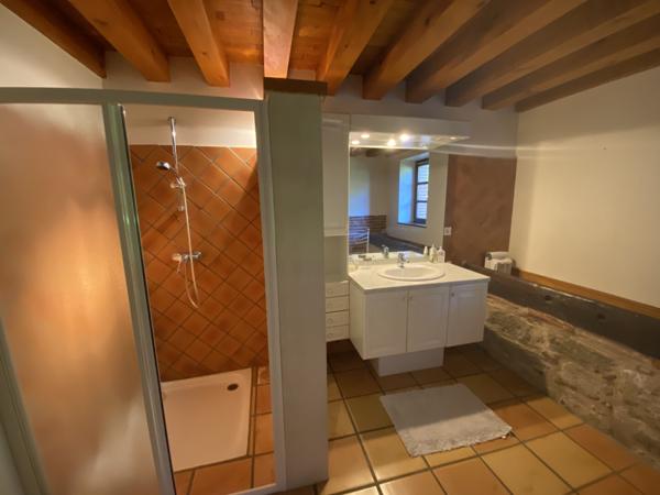 Moissac (82200) TARN ET GARONNE MOISSAC Ravissante maison de campagne avec maison d'amis, piscine et terrains de 6 plus hec