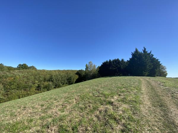Moissac (82200) TARN ET GARONNE MOISSAC Ravissante maison de campagne avec maison d'amis, piscine et terrains de 6 plus hec