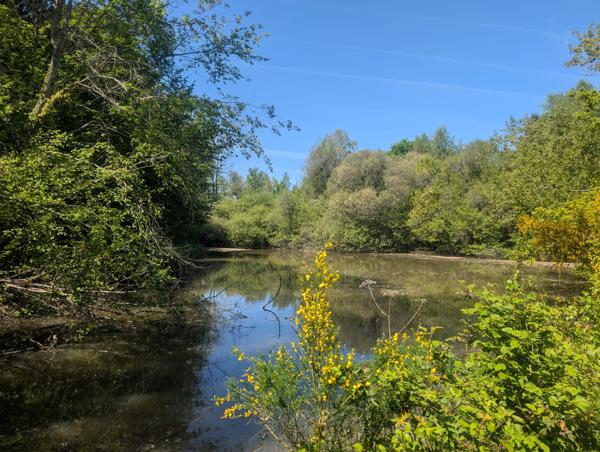 Lacs à vendre à Dournazac (87230) - Haute-Vienne