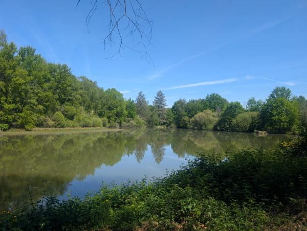Lacs à vendre à Dournazac (87230) - Haute-Vienne