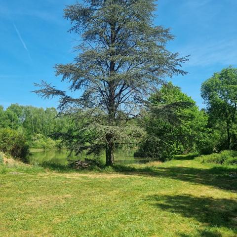 Lacs à vendre à Dournazac (87230) - Haute-Vienne