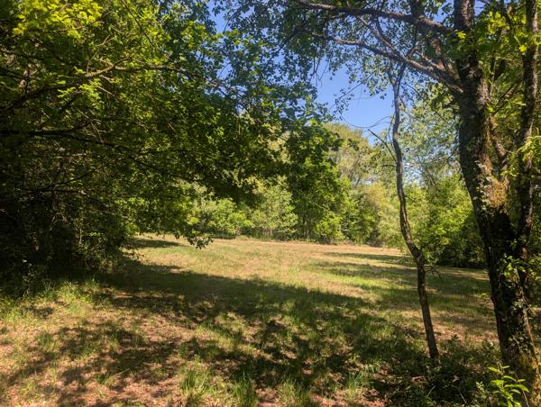 Lacs à vendre à Dournazac (87230) - Haute-Vienne