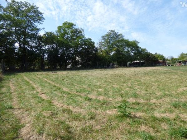 TERRAIN A BÂTIR - ARGENTONNAY