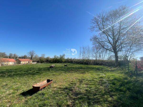 Terrain - À vendre - 2 476 m² - JONCHERY | The Door Man