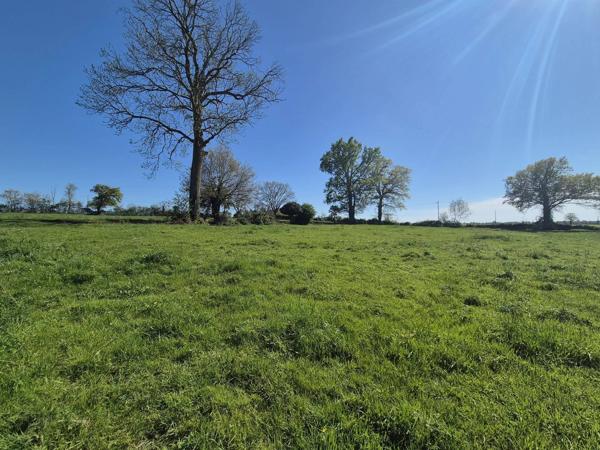 CHATEAU GONTIER SUR MAYENNE PROPRIETE AVEC MAISON DE MAITRE DE 160 M2 + DEPENDANCES DE 120 M2 AU SOL + ETANG + TERRAIN DE 2 HECTARES + PETITE MAISON EN LOCATION
