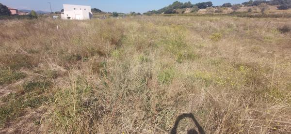 Puilacher (34230) Terrain à Bâtir PUILACHER