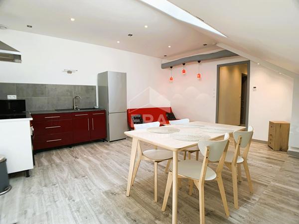 APPART. T2 MEUBLE A LOUER - BLOIS - CENTRE-VILLE, COPRO AVEC PARC ET PARKING VELOS