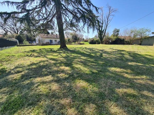 Vente / Terrain constructible