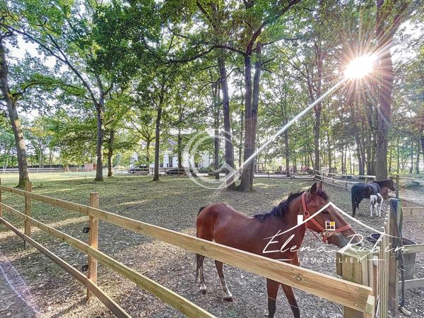 PROPRIETE EQUESTRE D'EXCEPTION