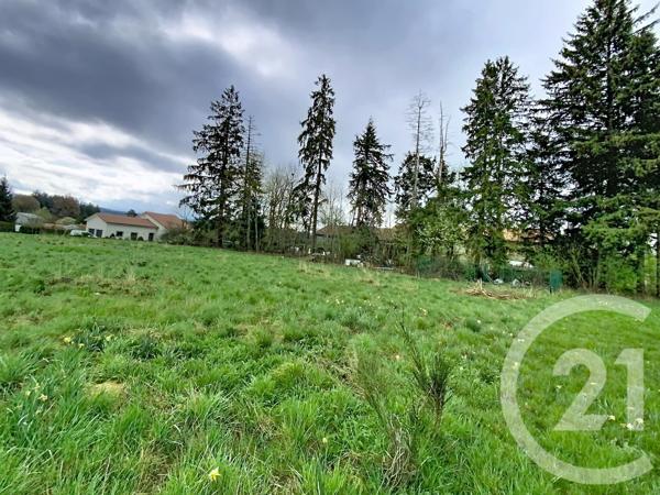 Terrain à vendre  1750 m 2   RAUCOULES  - 43