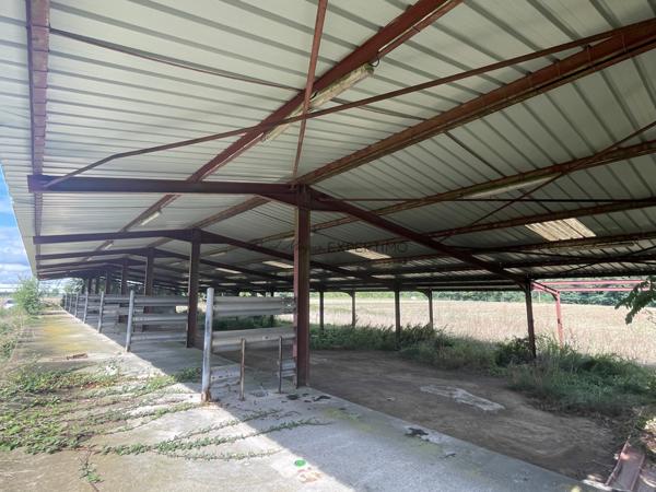 Saint-Just (01250) Hangar métallique de 760 M²sur parcelle de 3 700 m²