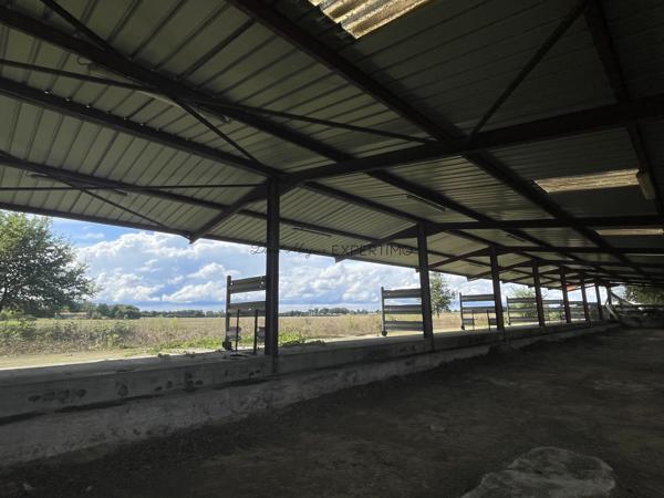 Saint-Just (01250) Hangar métallique de 760 M²sur parcelle de 3 700 m²