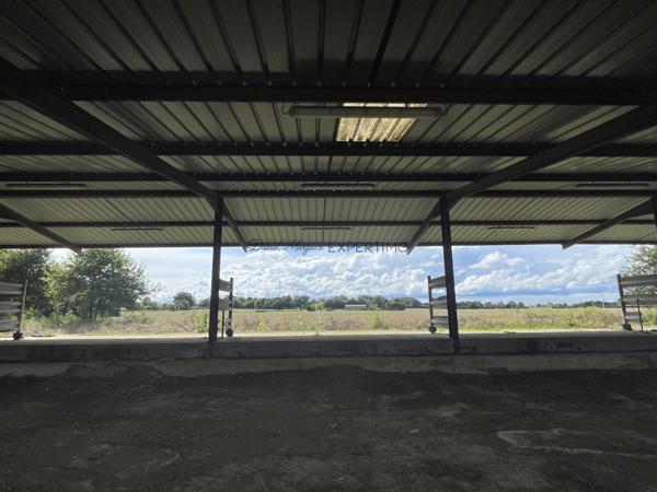 Saint-Just (01250) Hangar métallique de 760 M²sur parcelle de 3 700 m²