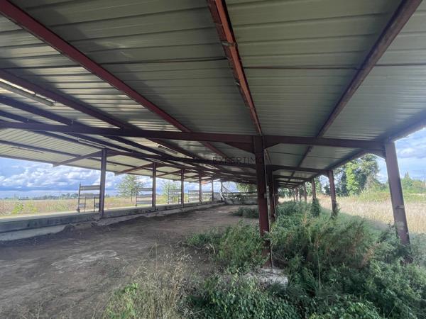 Saint-Just (01250) Hangar métallique de 760 M²sur parcelle de 3 700 m²