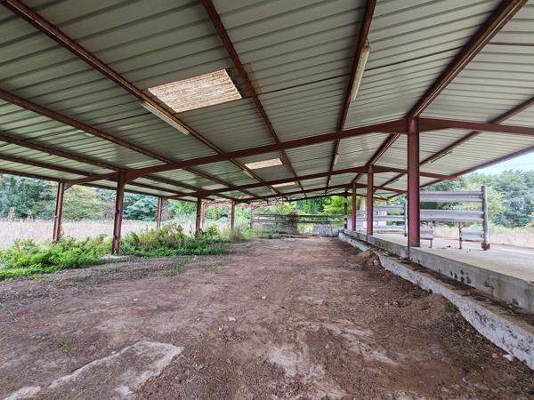 Saint-Just (01250) Hangar métallique de 760 M²sur parcelle de 3 700 m²