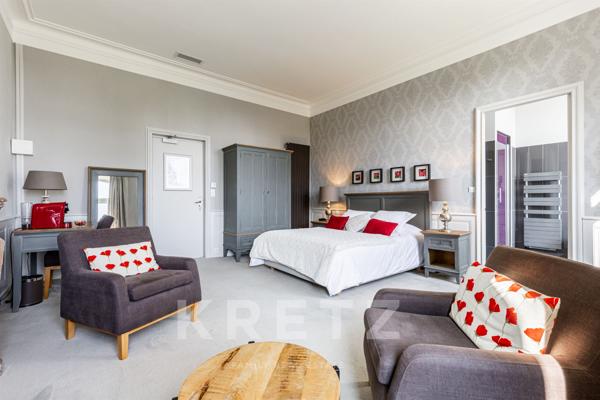 Château avec activité commerciale clé en mains