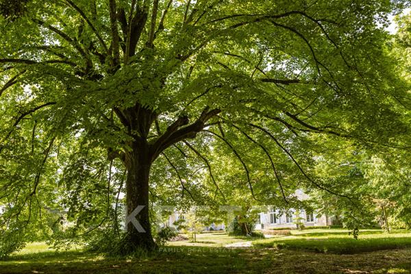 Château avec activité commerciale clé en mains