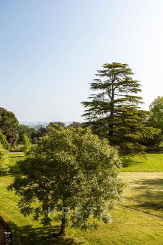 Château avec activité commerciale clé en mains
